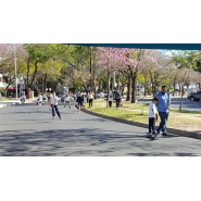 Bicicleteada 5 de Agosto
